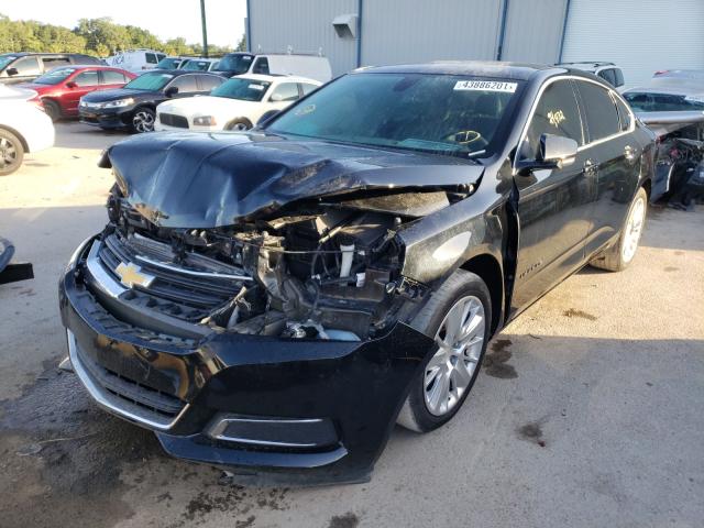 2019 CHEVROLET IMPALA LS 1G11Y5S31KU101702