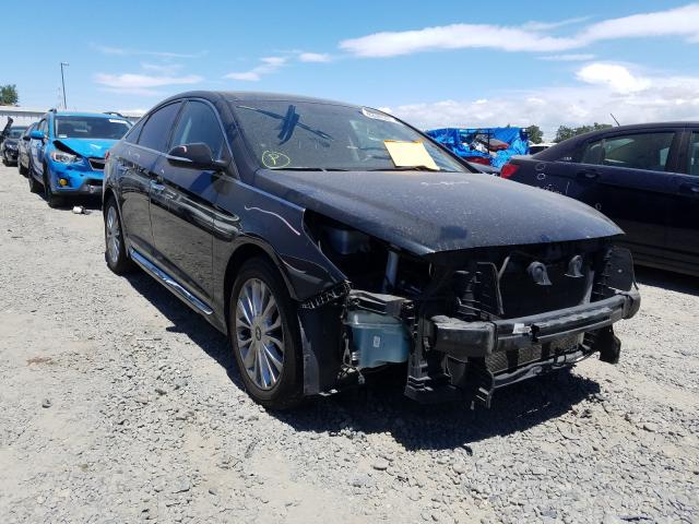 2015 HYUNDAI SONATA SPO 5NPE34AF3FH045517