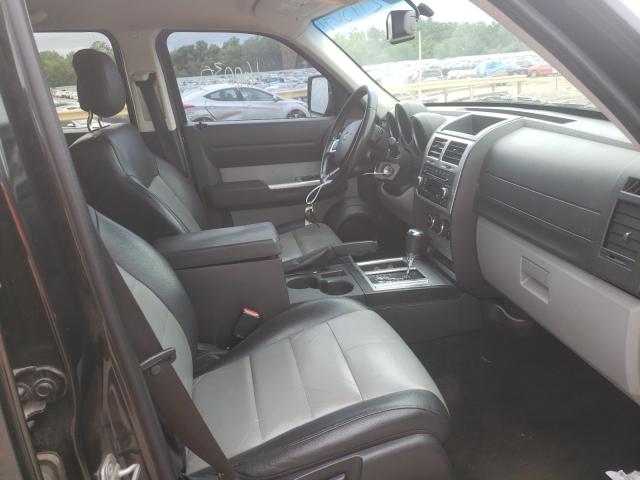 2010 DODGE NITRO SXT 1D4PT5GXXAW110965