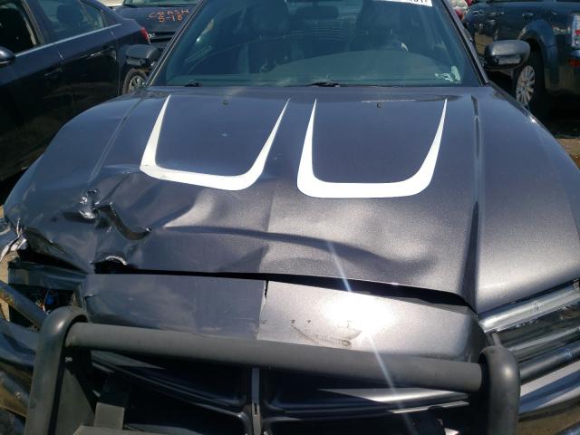 2013 DODGE CHARGER PO 2C3CDXAG8DH604195
