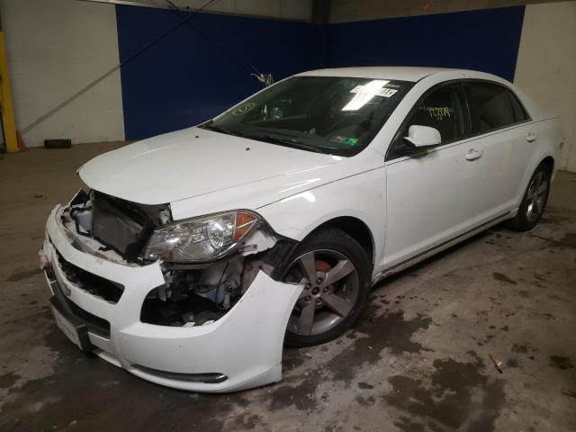 VIN 1VWBT7A33GC033288 2011 CHEVROLET MALIBU 1LT no.2