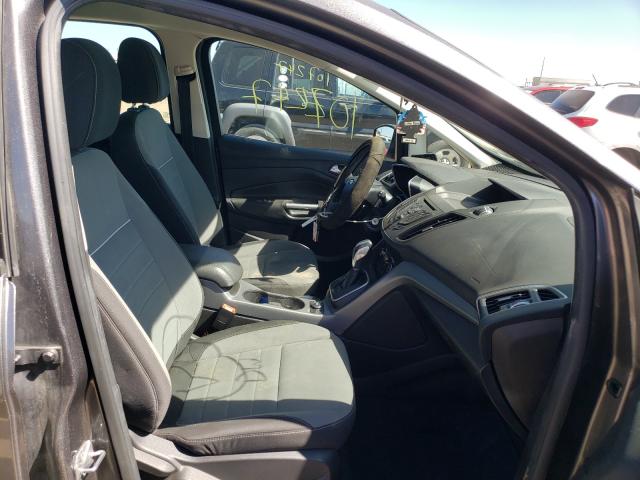 2013 FORD C-MAX SE 1FADP5AUXDL552949