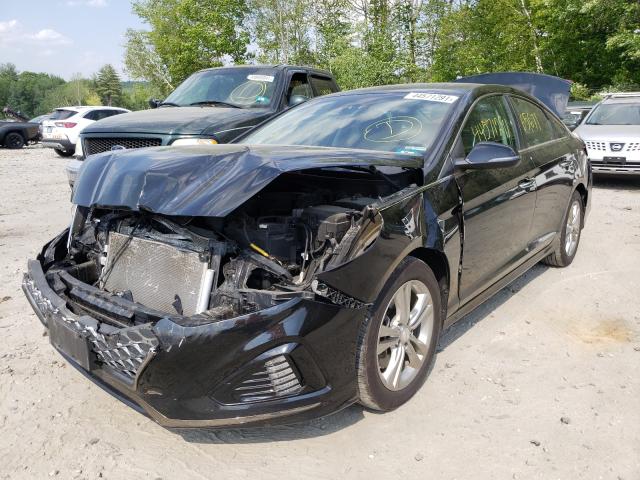 2019 HYUNDAI SONATA LIM 5NPE34AF2KH764039