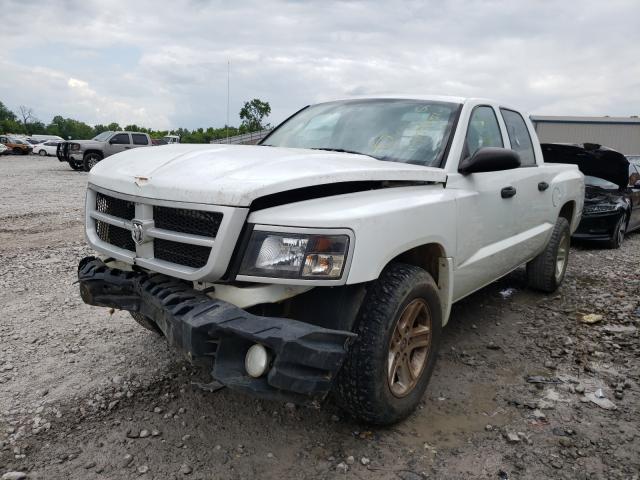 2011 DODGE DAKOTA SLT 1D7RE3GK3BS619626