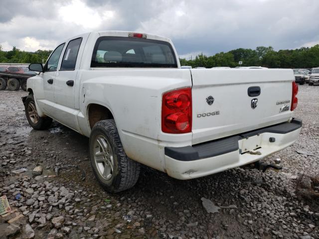 2011 DODGE DAKOTA SLT 1D7RE3GK3BS619626