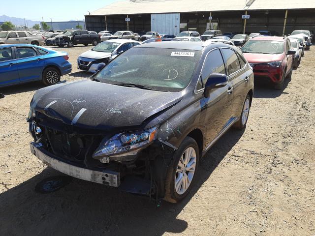 2010 LEXUS RX 450 JTJBC1BA9A2030631