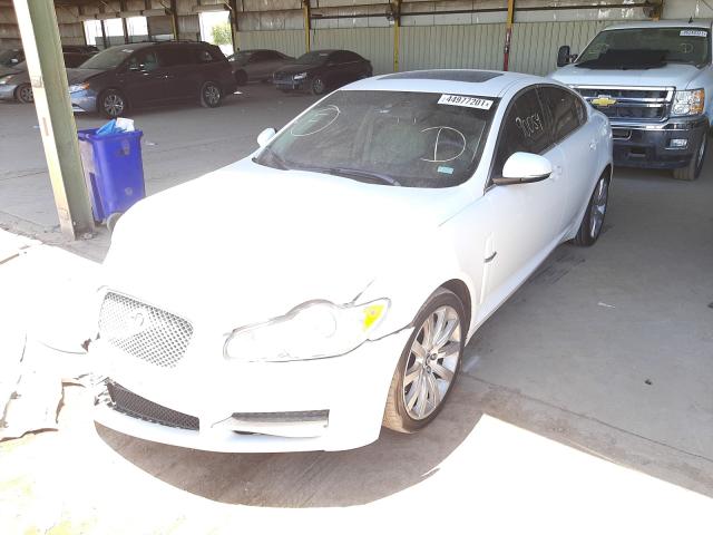 2010 JAGUAR XF LUXURY SAJWA0FA1AHR72394