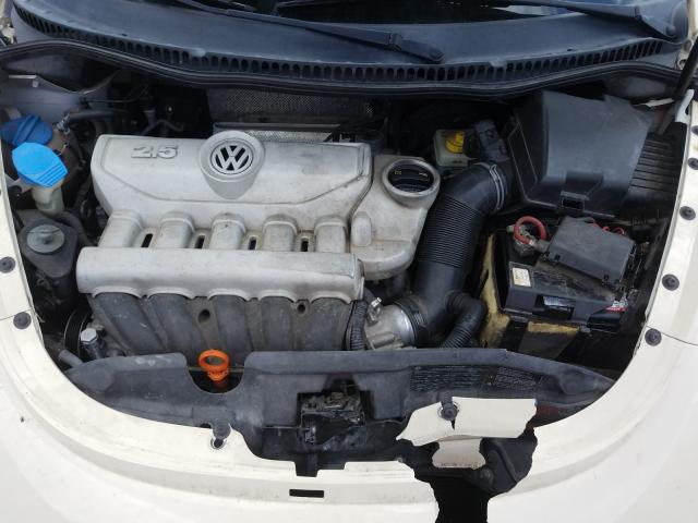 2010 VOLKSWAGEN NEW BEETLE 3VWRG3AL2AM010277