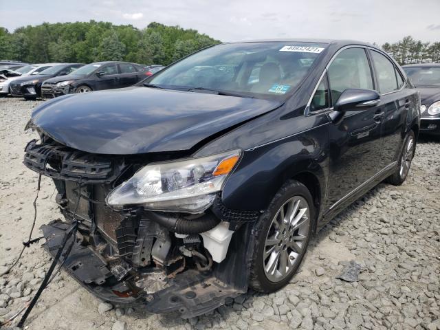 2010 LEXUS HS 250H JTHBB1BAXA2004057