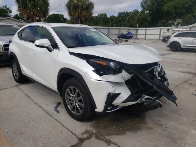 Lexus NX 300h 2019