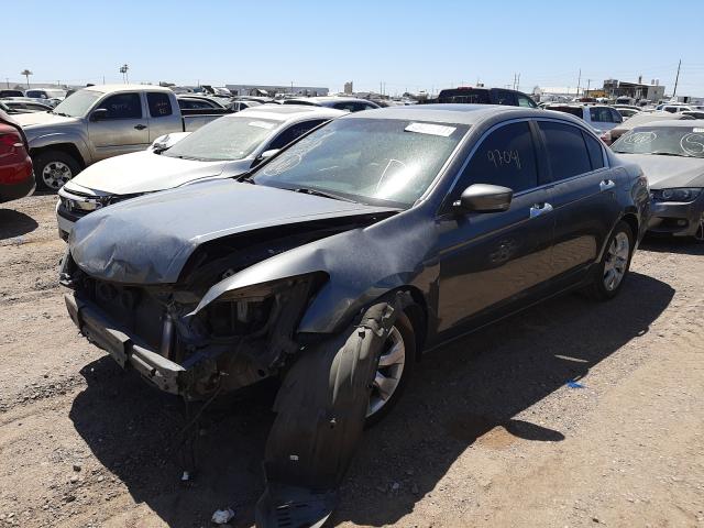 2010 HONDA ACCORD EXL 1HGCP3F80AA001668