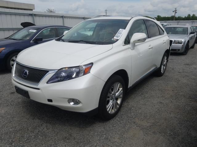 2010 LEXUS RX 450 JTJBC1BA3A2410774