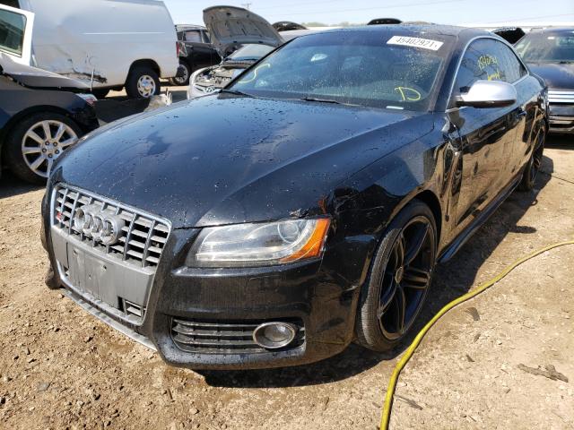 2010 AUDI S5 PREMIUM WAUCVAFR1AA071324