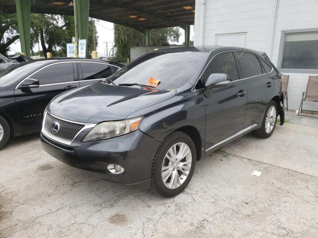 2010 LEXUS RX 450 JTJZB1BA4A2004309