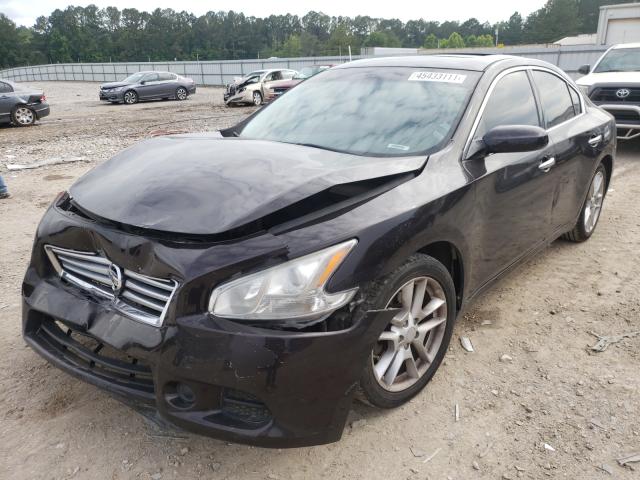 2013 NISSAN MAXIMA 1N4AA5AP7DC801772