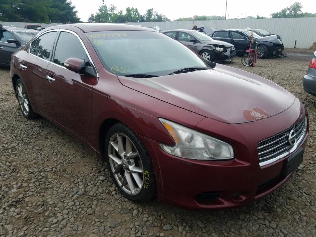 2010 nissan maxima burgundy