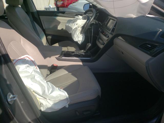 2019 HYUNDAI SONATA LIM 5NPE34AF3KH777785