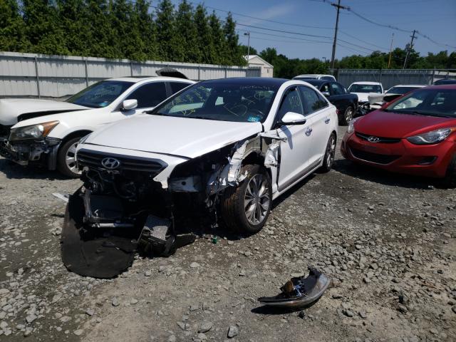 5NPE34AB5FH241231 Hyundai Sonata Spo 2015. Фото: 1