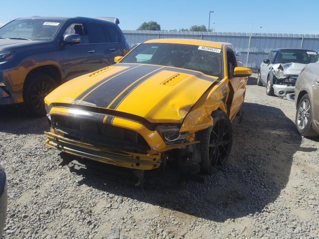 2013 FORD MUSTANG BO 1ZVBP8CU5D5202629