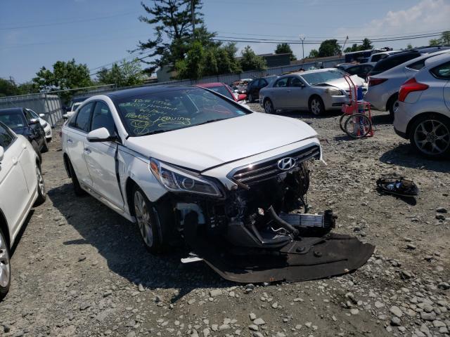5NPE34AB5FH241231 Hyundai Sonata Spo 2015