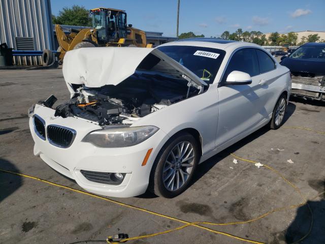 2015 BMW 228 I WBA1F5C57FV256023