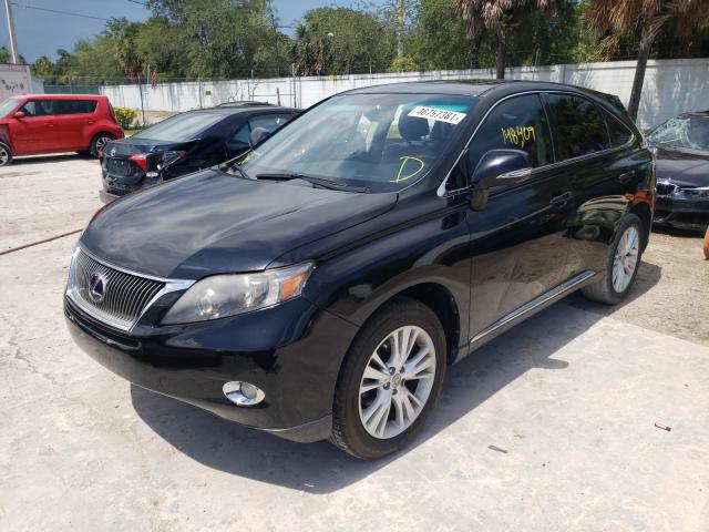2010 LEXUS RX 450 JTJZB1BA8A2000442