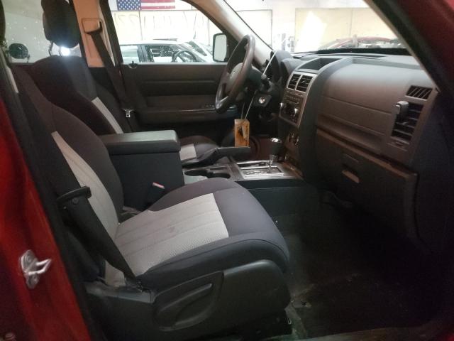 2010 DODGE NITRO 1D4PU2GK8AW143379