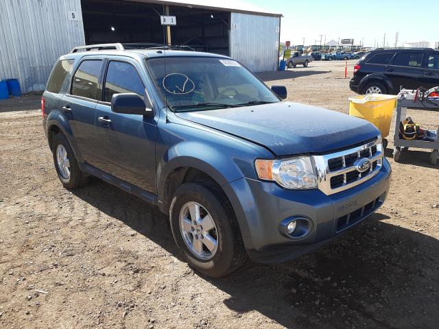 Ford Escape Blue 2010