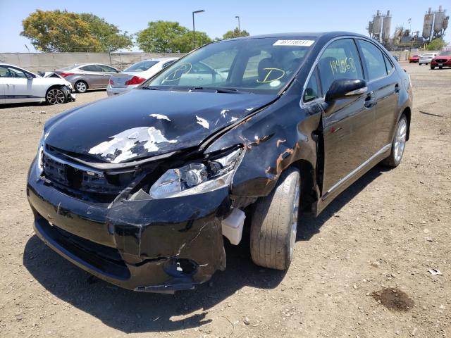 2010 LEXUS HS 250H JTHBB1BA3A2012453