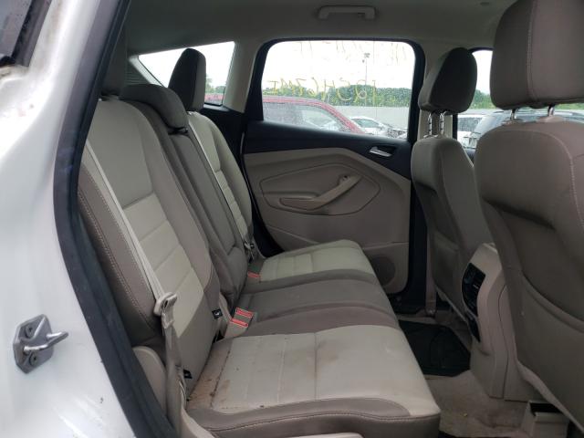 2013 FORD C-MAX SE 1FADP5AU4DL531479