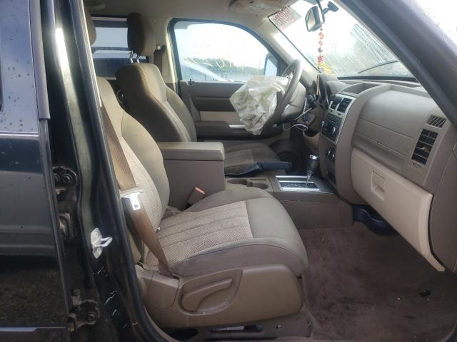 2010 DODGE NITRO SXT 1D4PT5GK4AW106687