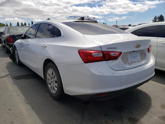 2019 CHEVROLET MALIBU L 1G1ZA5STXKF198068