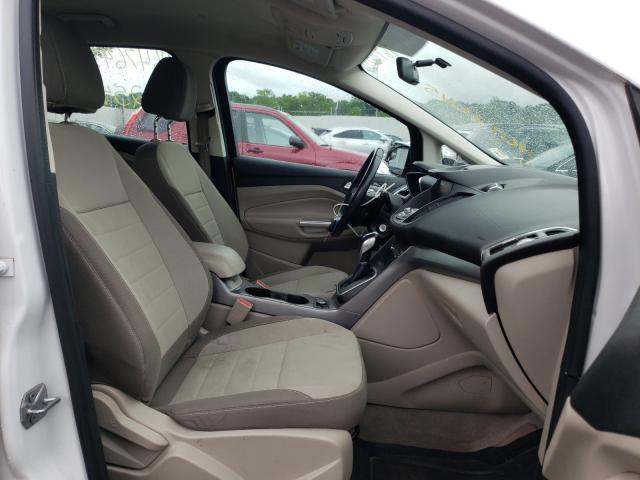 2013 FORD C-MAX SE 1FADP5AU4DL531479