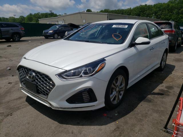 2019 HYUNDAI SONATA LIM 5NPE34AF6KH775030