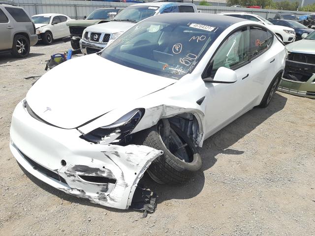 2020 TESLA MODEL Y 5YJYGDEE2LF015213