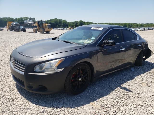 2010 NISSAN MAXIMA 1N4AA5AP8AC849339
