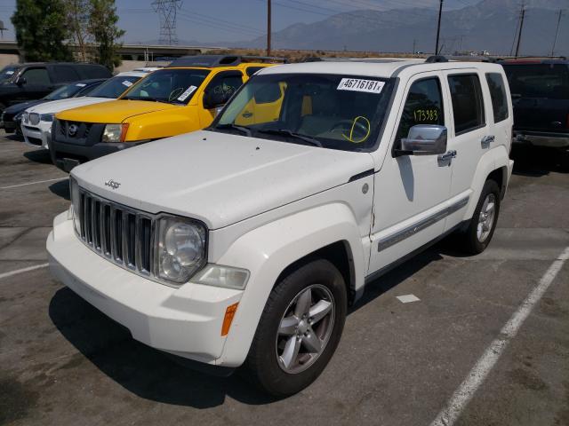 2010 JEEP LIBERTY LI 1J4PN5GK8AW148202