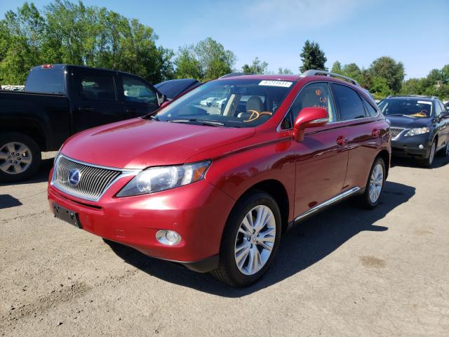 2010 LEXUS RX 450 JTJBC1BA9A2016423