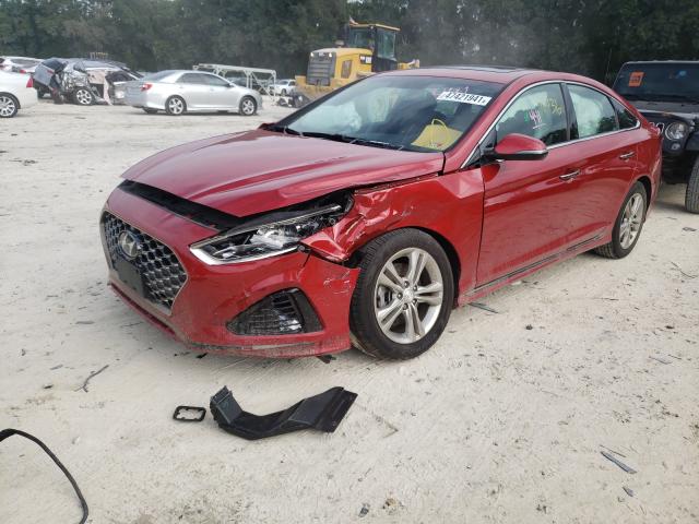 2019 HYUNDAI SONATA LIM 5NPE34AF5KH739006