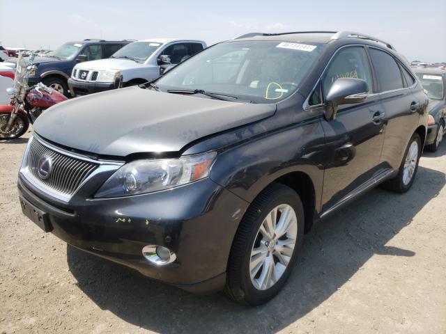2010 LEXUS RX 450 JTJBC1BA0A2027598