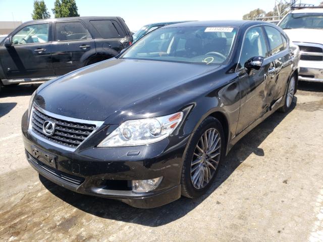 2010 LEXUS LS 460 JTHBL5EFXA5096975