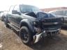 FORD F-150 2011 foto
