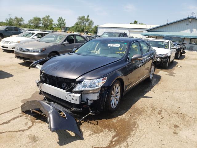 2010 LEXUS LS 460 JTHCL5EF6A5008251