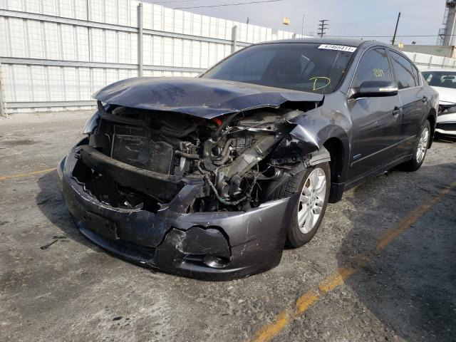 2011 NISSAN ALTIMA HYB 1N4CL2AP5BC101845