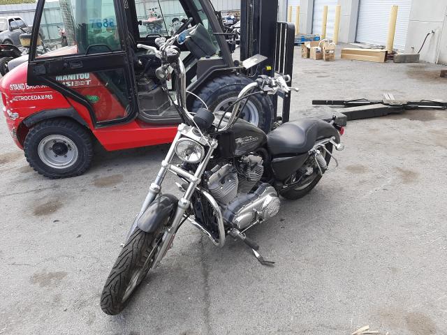 2006 HARLEY-DAVIDSON XL883 L 1HD4CMM136K462258