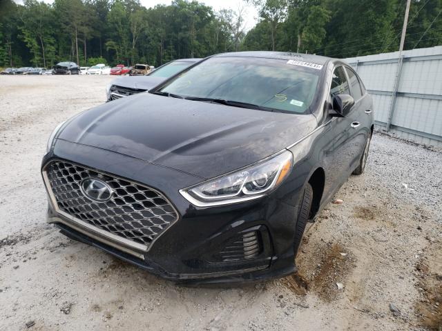 2019 HYUNDAI SONATA LIM 5NPE34AF1KH764646