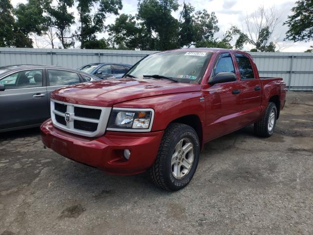 2011 DODGE DAKOTA SLT 1D7RW3GP5BS661692