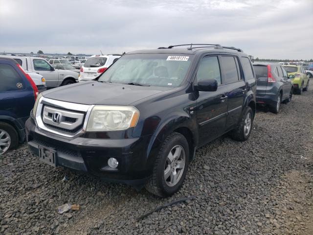 2010 HONDA PILOT EX 5FNYF4H42AB023105