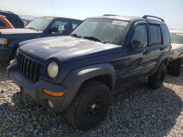 jeep liberty 2002 vin 1j4gl48k02w352394