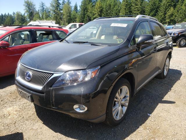2011 LEXUS RX 450 JTJBC1BA1B2037221